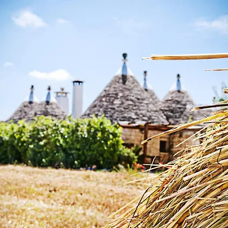 Venkovský dům Trulli Il Castagno *