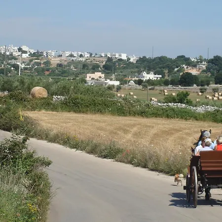 Venkovský dům Trulli Il Castagno Martina Franca