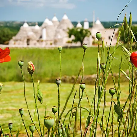Trulli Il Castagno Gospodarstwo wiejskie Martina Franca