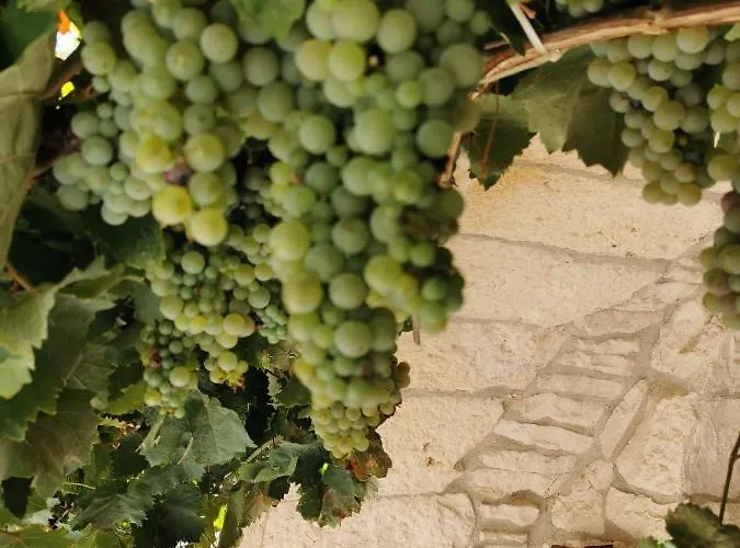 Trulli Il Castagno Country house