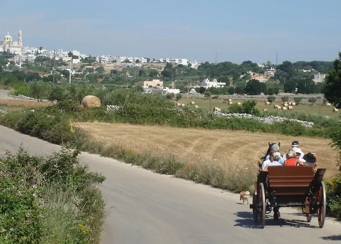 Country house Trulli Il Castagno Martina Franca