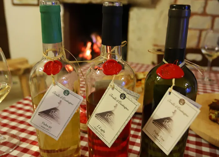 Trulli Il Castagno Country house