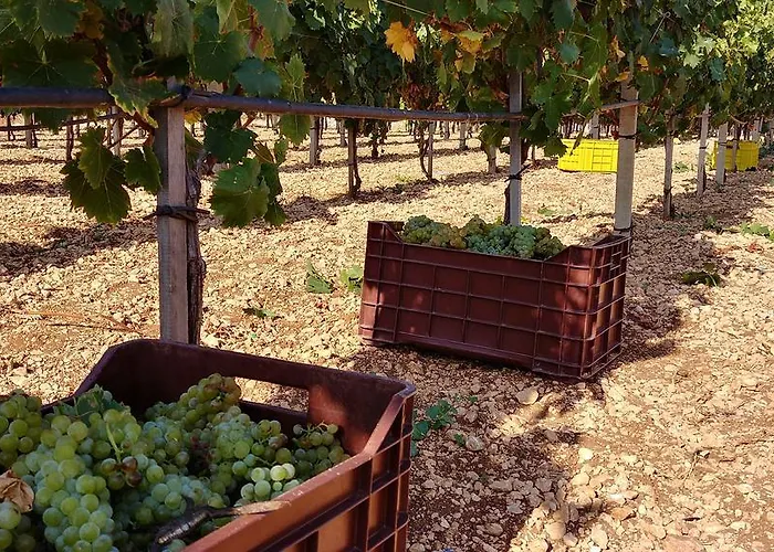Country house Trulli Il Castagno