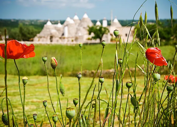 Trulli Il Castagno Country house Martina Franca