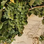 Trulli Il Castagno בית כפרי