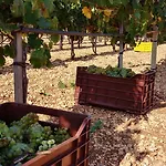 Hétvégi ház Trulli Il Castagno