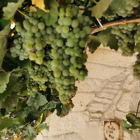 Trulli Il Castagno Εξοχικό σπίτι