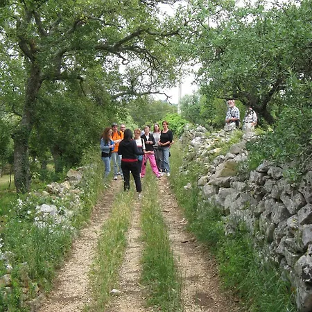 Trulli Il Castagno Μαρτίνα Φράνκα