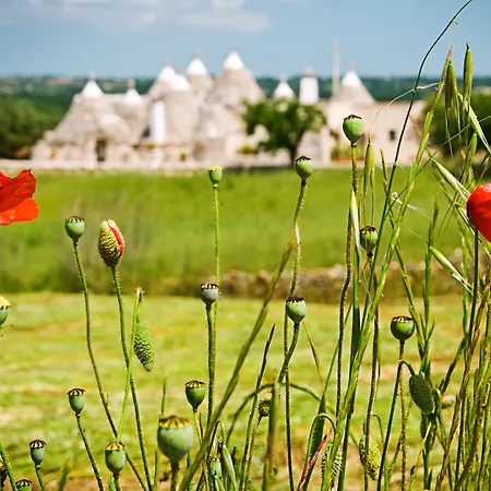 Εξοχικό σπίτι Trulli Il Castagno